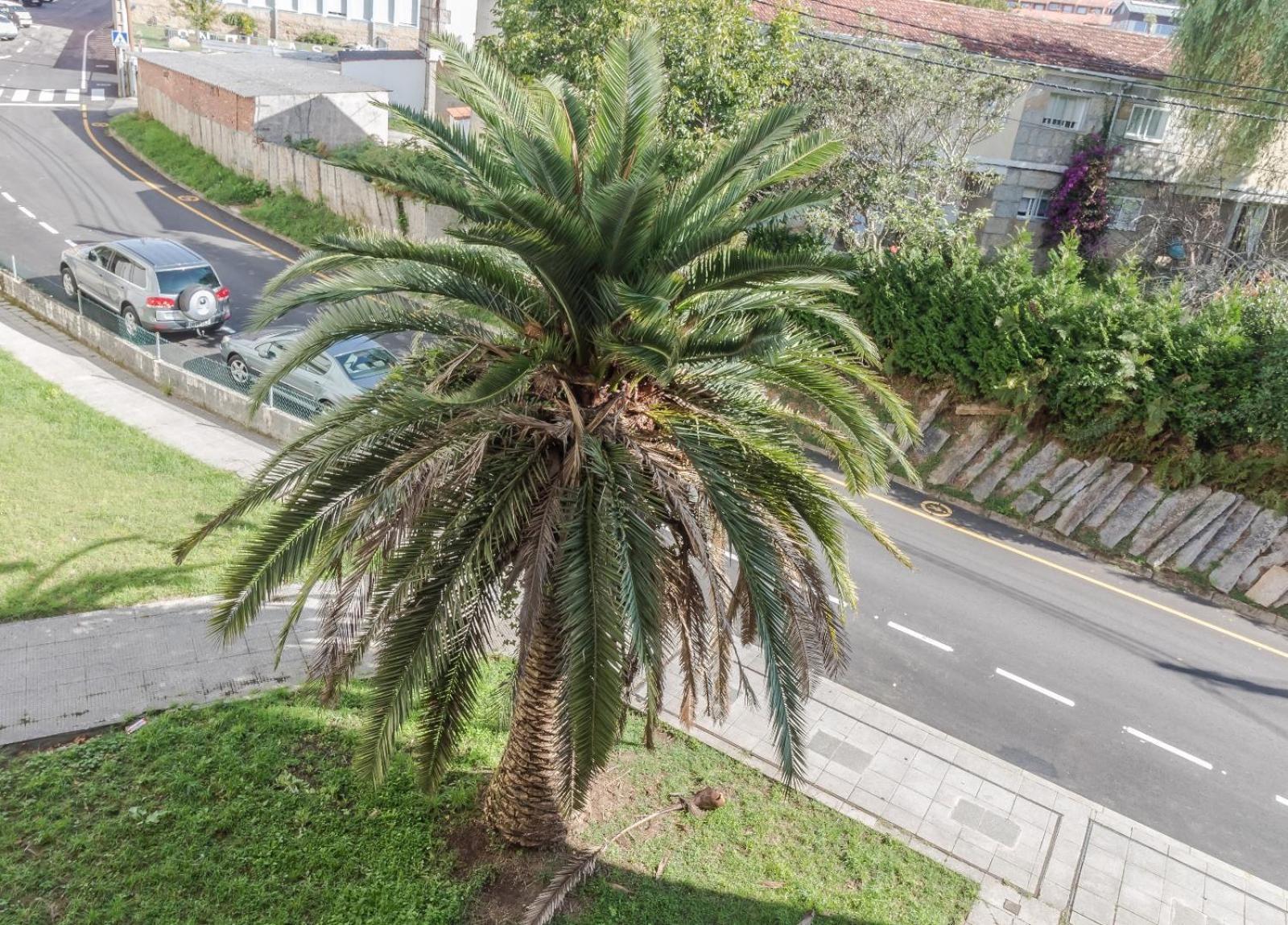 Apartamento Peces De Madera Sanxenxo Εξωτερικό φωτογραφία
